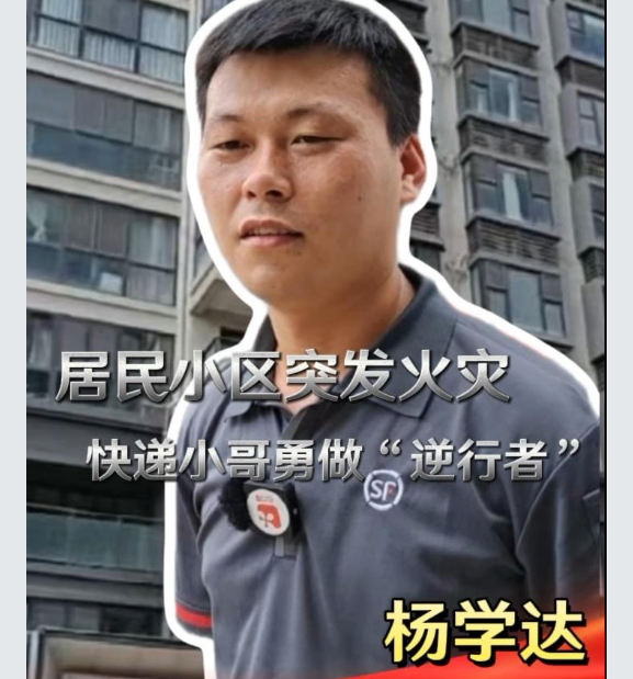 杨.png